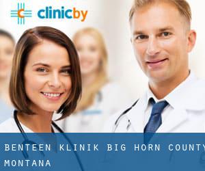 Benteen klinik (Big Horn County, Montana)