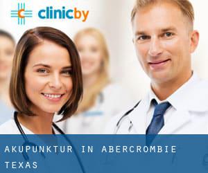 Akupunktur in Abercrombie (Texas)