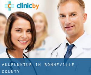 Akupunktur in Bonneville County
