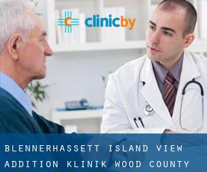 Blennerhassett Island View Addition klinik (Wood County, West Virginia)