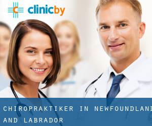 Chiropraktiker in Newfoundland and Labrador
