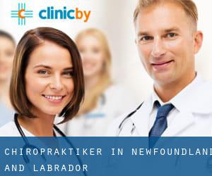 Chiropraktiker in Newfoundland and Labrador Chiropraktiker in Newfoundland and Labrador