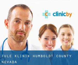 Tule klinik (Humboldt County, Nevada)